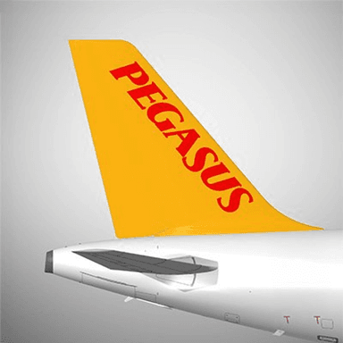 PEGASUS logo